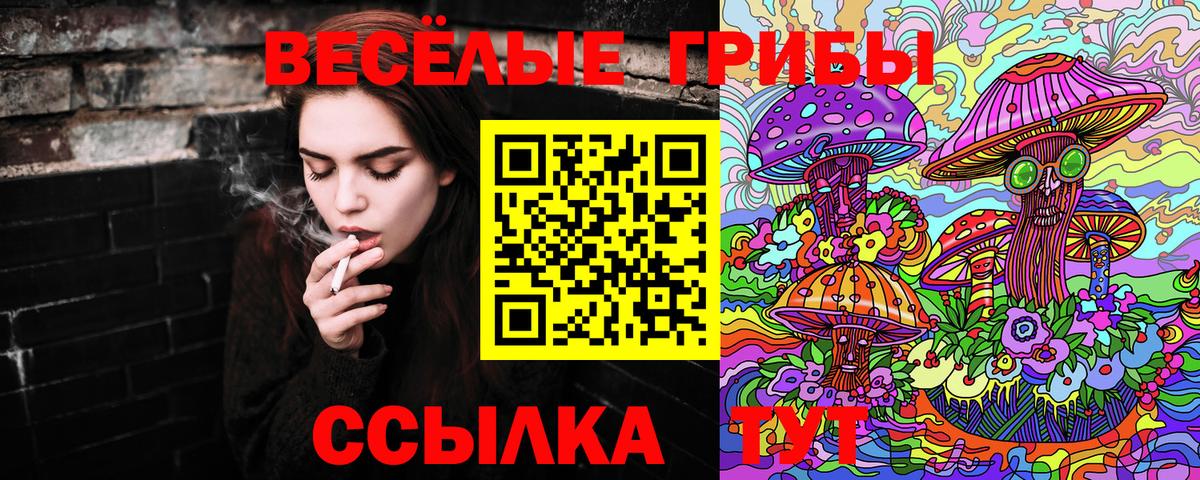 Галлюциногенные грибы Magic Shrooms Шали